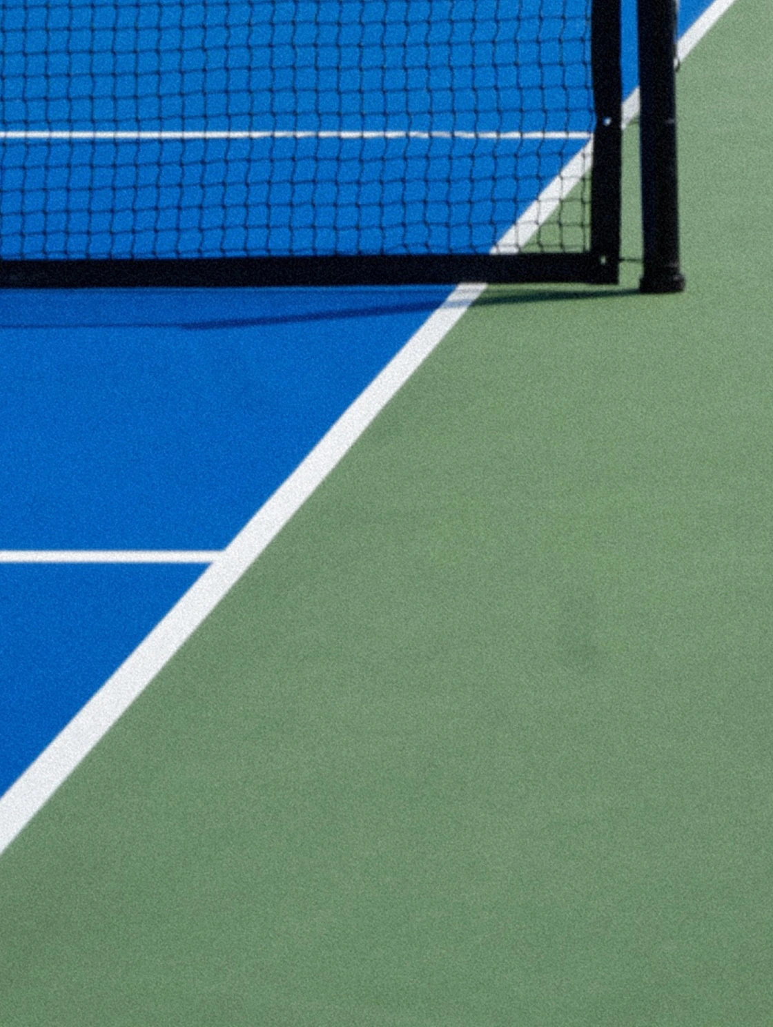 Four blue pickleball courts with palm trees in the background at The Seagate Hotel Racquet Club