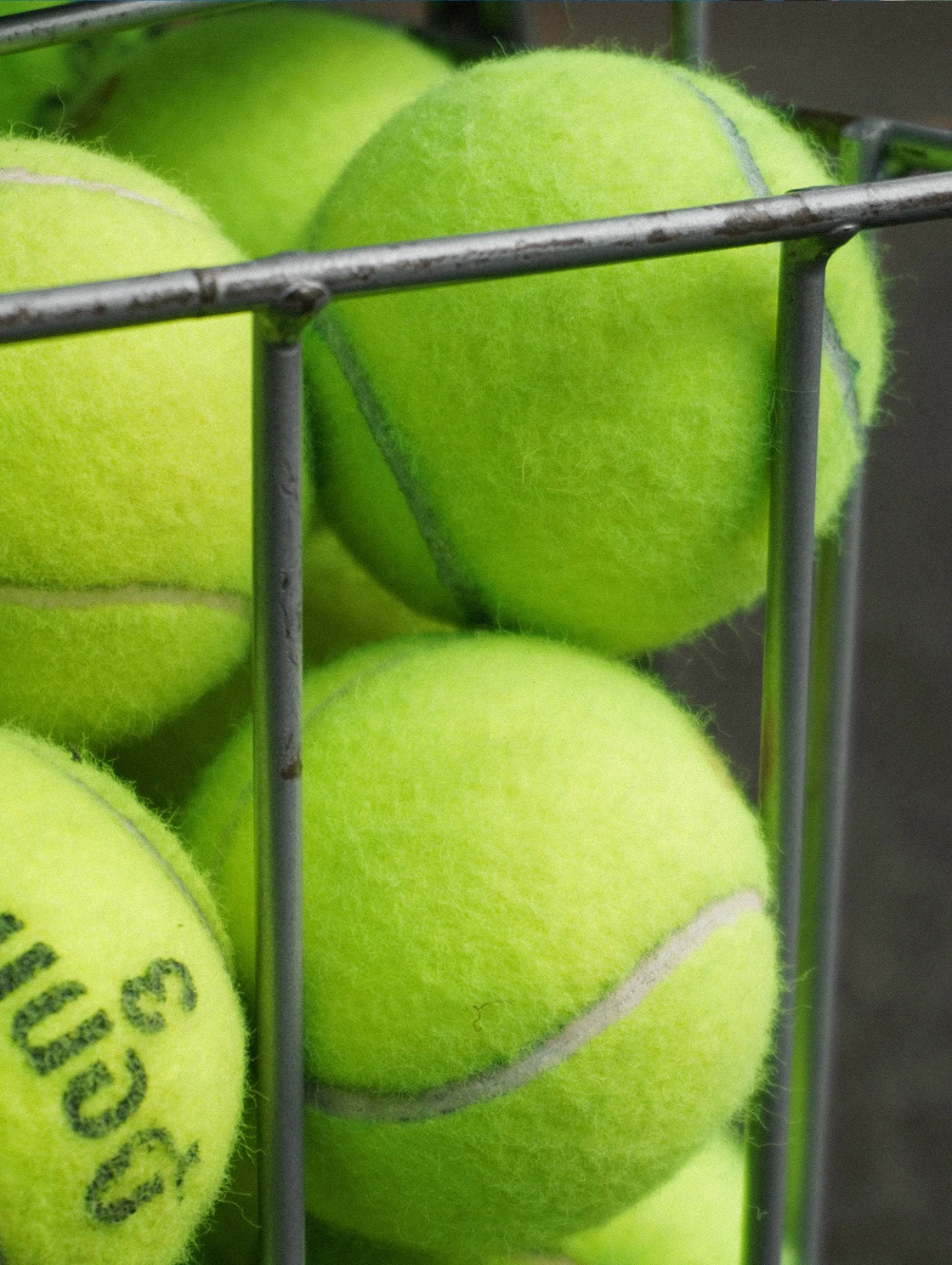 Close-up of tennis balls in a wire basket at The Seagate Delray Racquet Club
